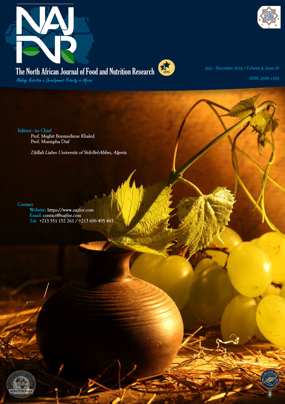 Vol. 9 No. 20 (2025): July - December, 2025