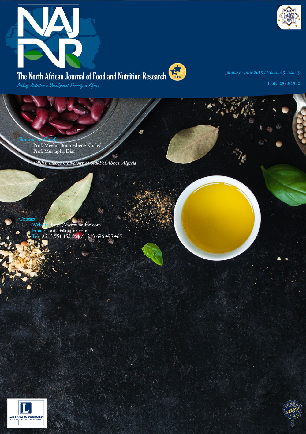 Vol. 3 No. 5 (2019): January - June:  2019