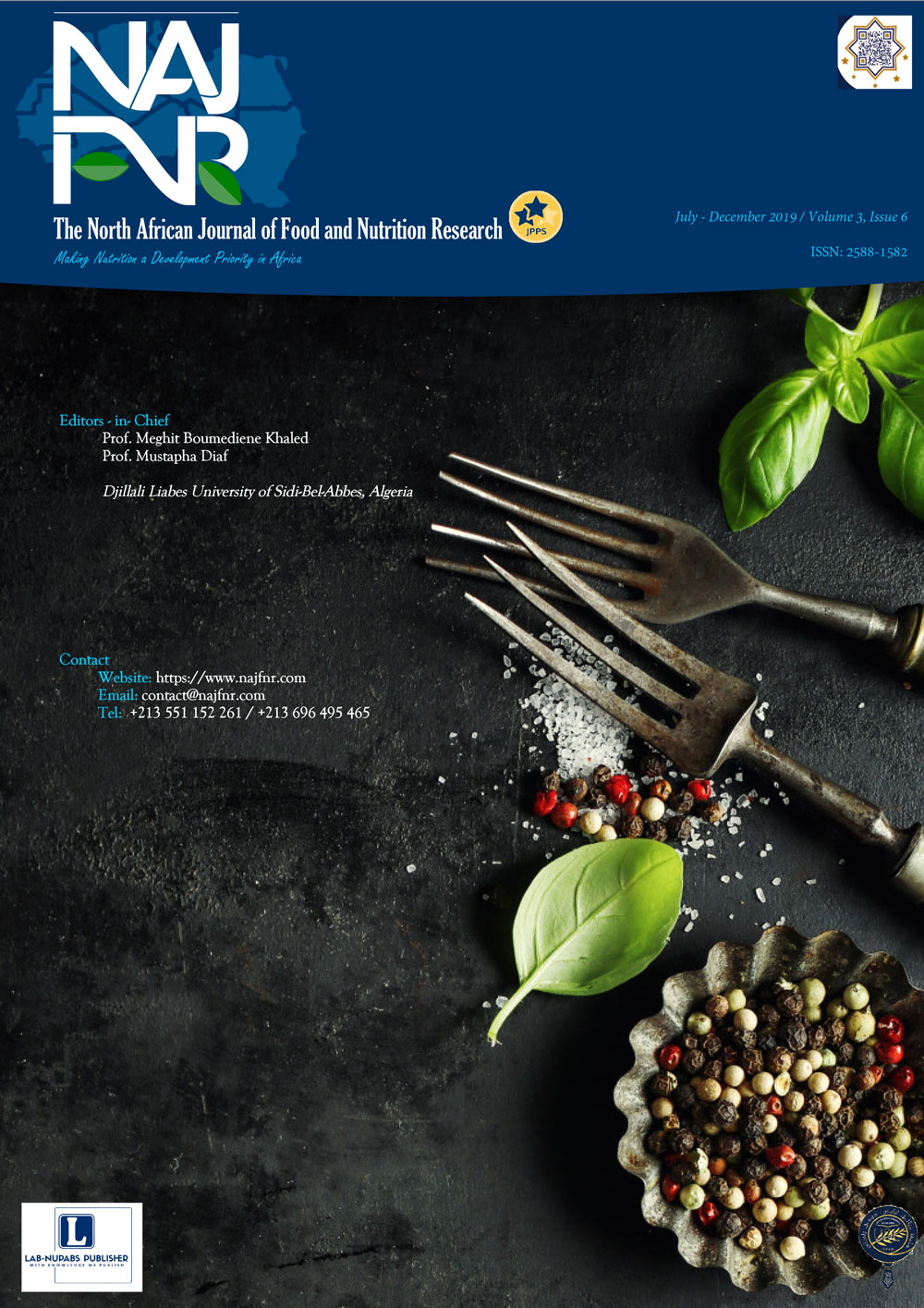 Vol. 3 No. 6 (2019): July - December:  2019